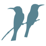 Vogel-Logo von adhs-perspektiven