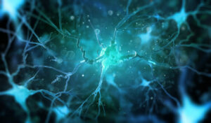 Synapsen im Gehirn